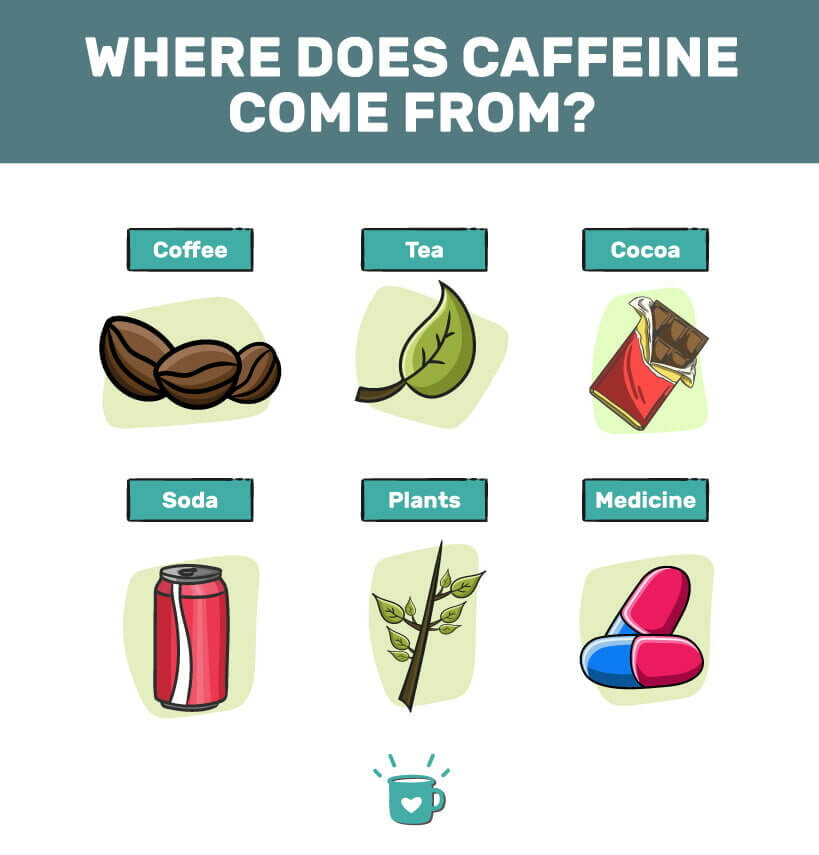 Zawartość kofeiny w poszczególnych produktach