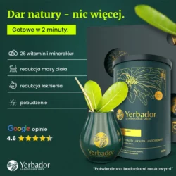 Yerba-Mate-yerbador-wlasciwosci-witaminy-mineraly-kopia