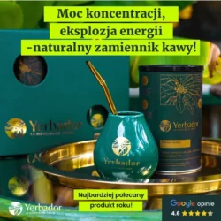 yerbamate-yerbador-naturalny-zamiennik-kawy (1)