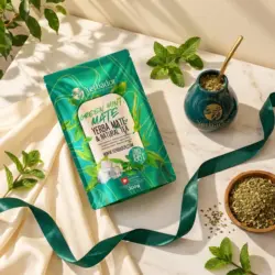 ZIELONA MIĘTA – YERBA MATE + ZIELONA HERBATA — kompozycja w słonecznym świetle