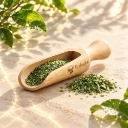 Szlachetny nabierak do Yerba Mate z drewna bukowego
