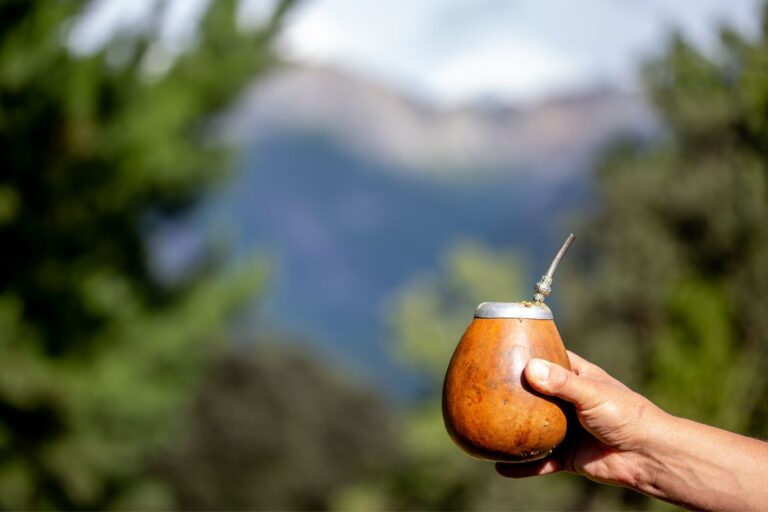 yerba mate
