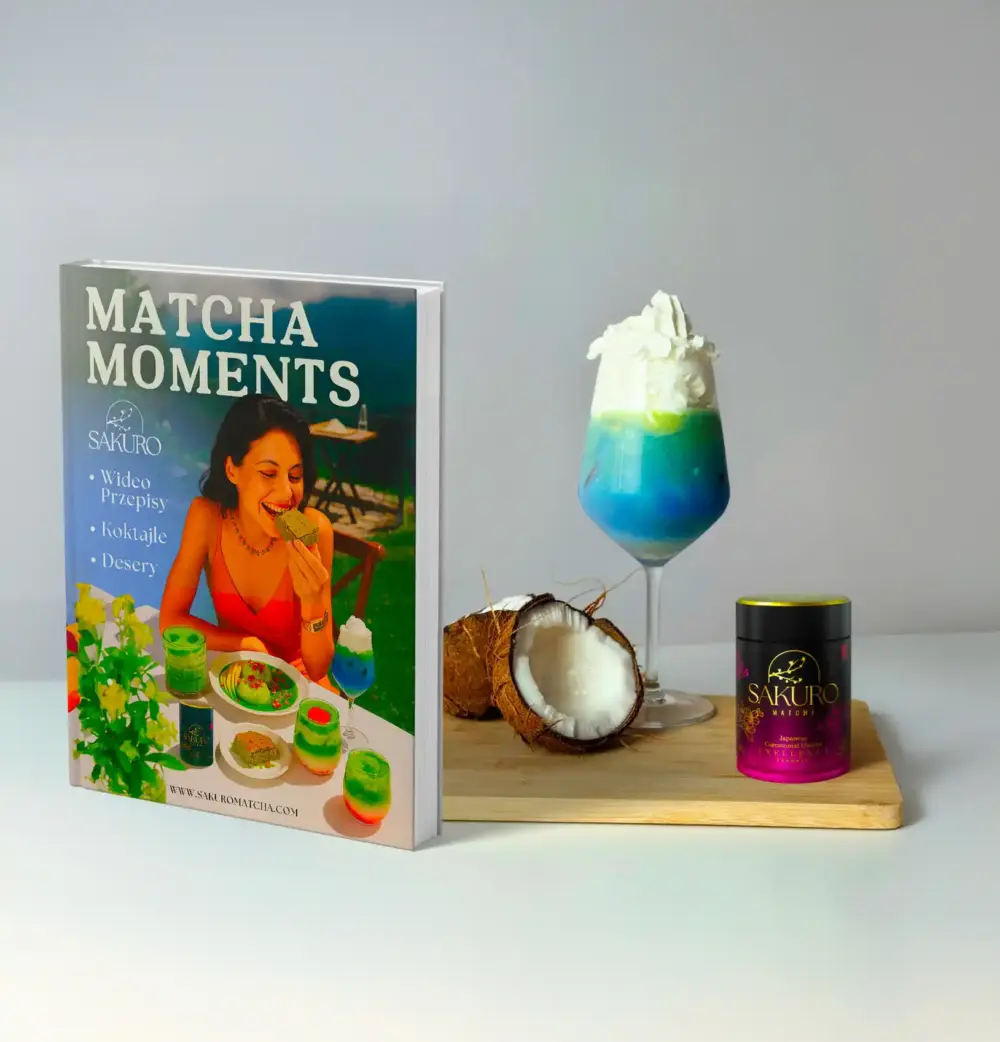 e book pop up (2)
