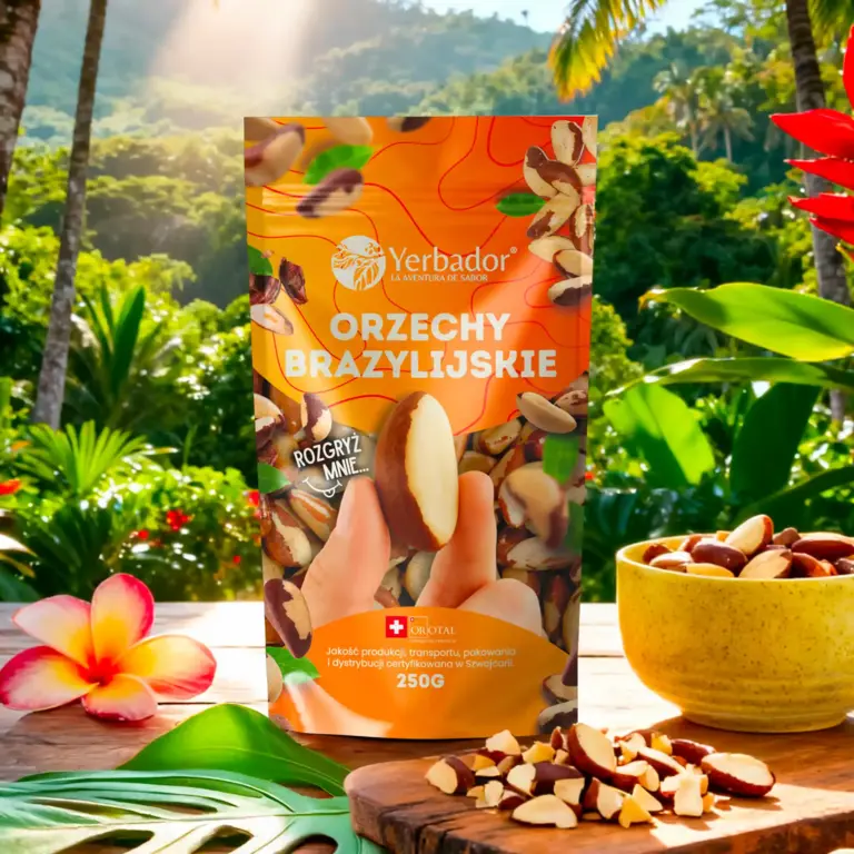 Yerba Mate a Selen – Czy To Dobre Źródło Tego Minerału?