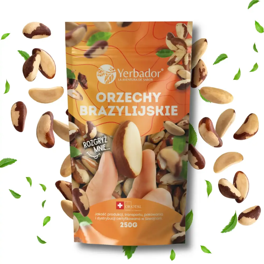 orzechcy brazylijskie orzechcy brazylijskie