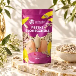 Pestki Słonecznika