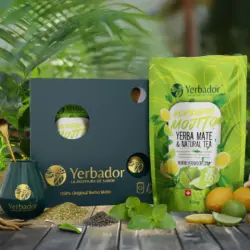 3_MOJITTO_v3