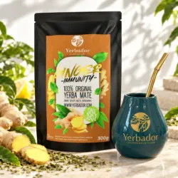 YERBA MATE – ODPRONOŚĆ IMBIRU + NBIERAK BUKOWY