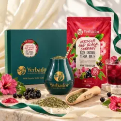 ZESTAW STARTOWY YERBA MATE – HIBISCUS AND BLACK CURRANT + NABIERAK BUKOWY — kompozycja w słonecznym świetle