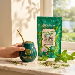 ZIELONA MIĘTA – YERBA MATE + ZIELONA HERBATA + NABIERAK BUKOWY — propozycja podania